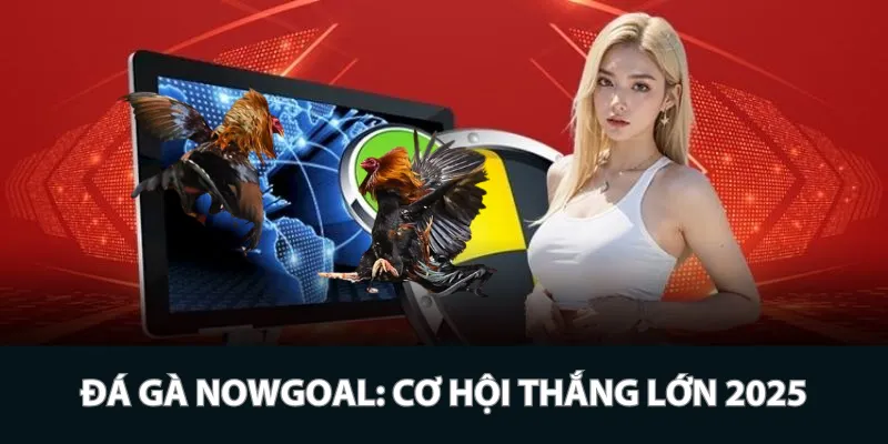 Đá gà Nowgoal: Cơ hội thắng lớn 2025